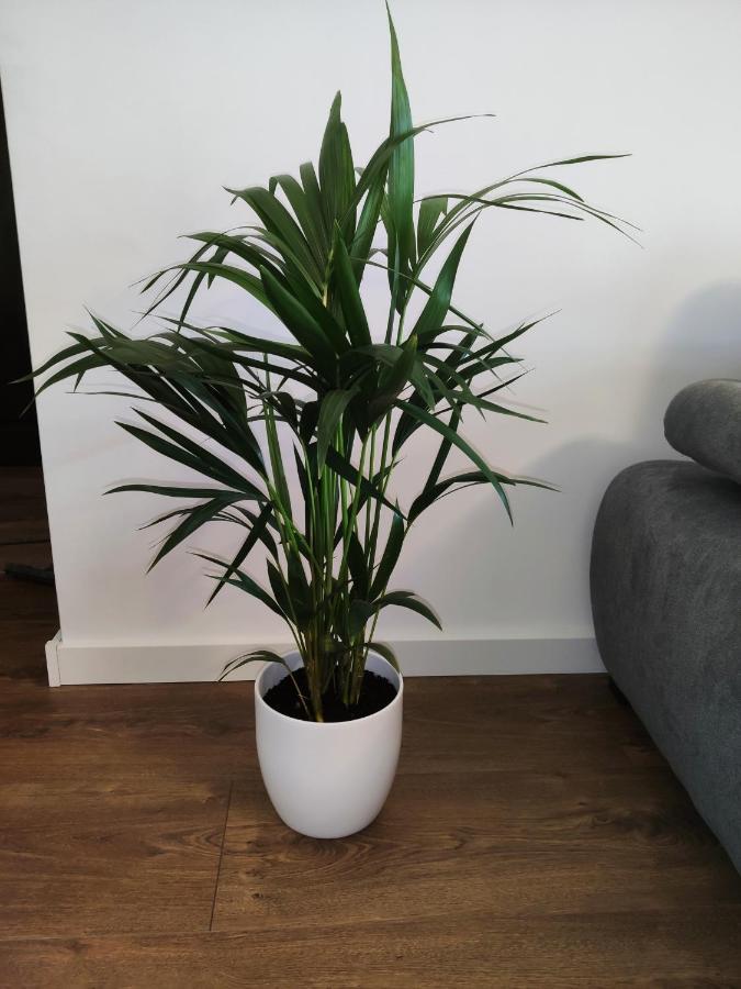 Apartament Milionova Apartman Łódź Kültér fotó